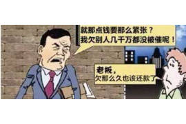 沿河债务清欠服务